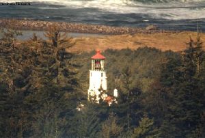 Close up shot of the lighthouse through the trees.